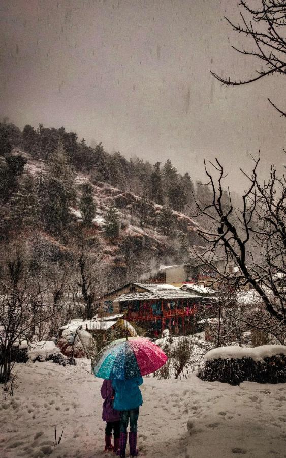 The Hosteller Manali Exterior photo
